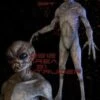 "Area 51 Intruder" Professional Alien Halloween Prop - 7 Foot Tall -Halloween Props Promotion area 51 intruder professional alien halloween prop 7 foot tall 8179847681