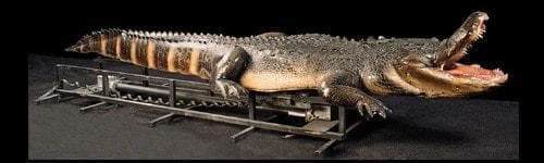 "Attack Alligator" Professional Halloween Animatronic 3 "Attack Alligator" Professional Halloween Animatronic