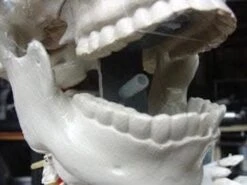 "Barrel Spitter Skeleton" Halloween Animatronic -Halloween Props Promotion barrel spitter skeleton halloween animatronic 8671147137