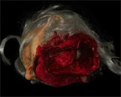 "Big Mouth Severed Head" HD Studios Bloody Halloween Prop -Halloween Props Promotion big mouth severed head hd studios bloody halloween prop 8671217409