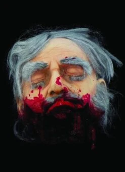 "Big Mouth Severed Head" HD Studios Bloody Halloween Prop -Halloween Props Promotion big mouth severed head hd studios bloody halloween prop 8671221889