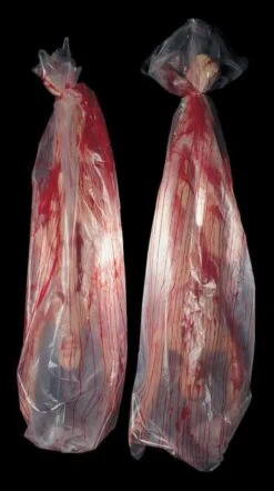 "Body Bag" Static Halloween Prop