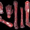 "Burnt Body Parts" Gory Halloween Props - Package Deal -Halloween Props Promotion burnt body parts gory halloween props package deal 3762053054512