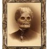 "Changing Portrait - Aunt Hazel" Halloween Decoration 2 "Changing Portrait - Aunt Hazel" Halloween Decoration -Halloween Props Promotion changing portrait aunt hazel halloween decoration 3788554928176