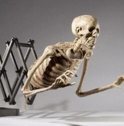 "Corpse Extender" Skeleton Halloween Animatronic