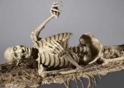 "Corpse Reacher/Trap Door Popper Combo" Skeleton Halloween Animatronic 7 "Corpse Reacher/Trap Door Popper Combo" Skeleton Halloween Animatronic -Halloween Props Promotion corpse reacher trap door popper combo skeleton halloween animatronic 8671651777