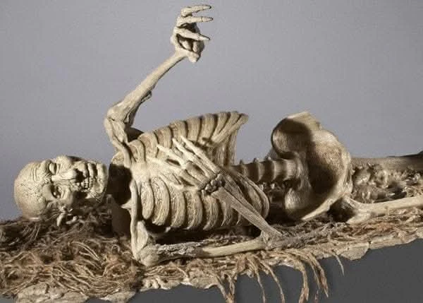 "Corpse Reacher/Trap Door Popper Combo" Skeleton Halloween Animatronic 5 "Corpse Reacher/Trap Door Popper Combo" Skeleton Halloween Animatronic - Image 3