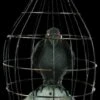 "Crow In Cage" Animated Halloween Prop 1 "Crow In Cage" Animated Halloween Prop -Halloween Props Promotion crow in cage animated halloween prop 14325929017392