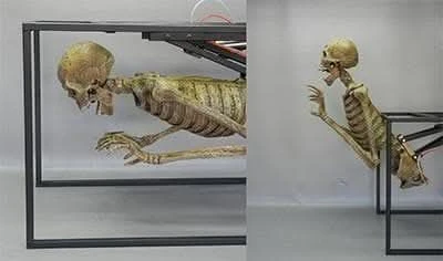 "Crypt Dweller" Skeleton Halloween Animatronic 4 "Crypt Dweller" Skeleton Halloween Animatronic - Image 2