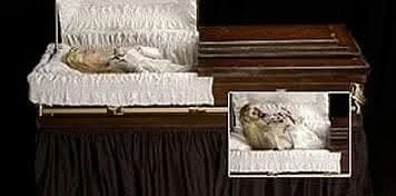 "Dead And Deader" Professional Halloween Animatronic 3 "Dead And Deader" Professional Halloween Animatronic