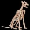 Doberman Skeleton Dog Skeleton Halloween Prop -Halloween Props Promotion doberman skeleton dog skeleton halloween prop 30408654946352