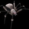 "Giant Spider With LED Eyes" Monster Halloween Prop -Halloween Props Promotion giant spider with led eyes monster halloween prop 14285468926000