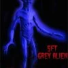 "Grey Alien" Movie-Quality Professional Prop 1 "Grey Alien" Movie-Quality Professional Prop -Halloween Props Promotion grey alien movie quality professional prop 8179720129