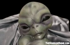 "Roswell Alien Baby Crash Victim" HD Exclusive Halloween Decoration 9 "Roswell Alien Baby Crash Victim" HD Exclusive Halloween Decoration -Halloween Props Promotion new for 2022 roswell alien baby crash victim hd exclusive halloween decoration 30106369982512