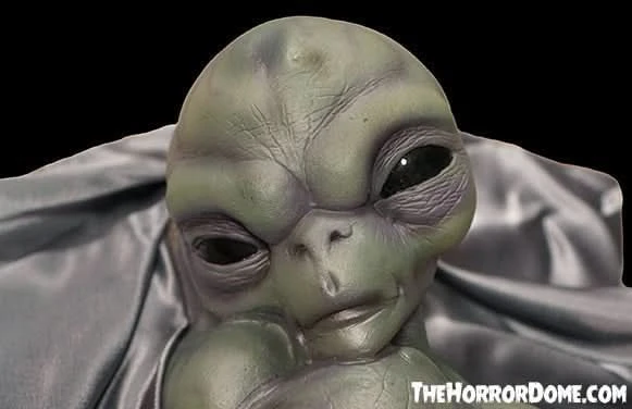 "Roswell Alien Baby Crash Victim" HD Exclusive Halloween Decoration 5 "Roswell Alien Baby Crash Victim" HD Exclusive Halloween Decoration - Image 3