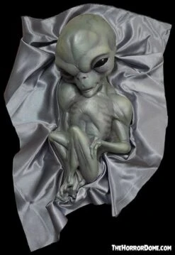"Roswell Alien Baby Crash Victim" HD Exclusive Halloween Decoration 10 "Roswell Alien Baby Crash Victim" HD Exclusive Halloween Decoration -Halloween Props Promotion new for 2022 roswell alien baby crash victim hd exclusive halloween decoration 30106370048048
