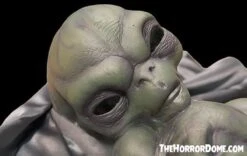 "Roswell Alien Baby Crash Victim" HD Exclusive Halloween Decoration 11 "Roswell Alien Baby Crash Victim" HD Exclusive Halloween Decoration -Halloween Props Promotion new for 2022 roswell alien baby crash victim hd exclusive halloween decoration 30106412580912