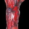 "Peeled Flesh - Left Arm" Human Body Part Halloween Prop -Halloween Props Promotion peeled flesh left arm human body part halloween prop 15770118062128