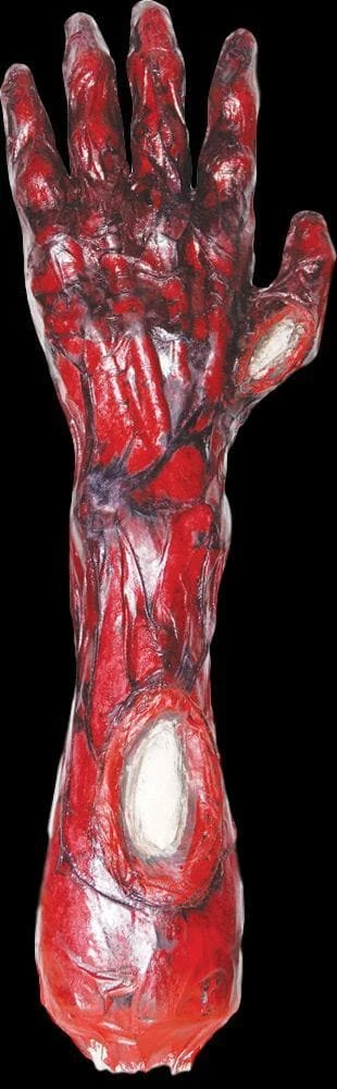 "Peeled Flesh - Left Arm" Human Body Part Halloween Prop 3 "Peeled Flesh - Left Arm" Human Body Part Halloween Prop