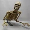 "Peeper" Skeleton Halloween Animatronic -Halloween Props Promotion peeper skeleton halloween animatronic 23252925953