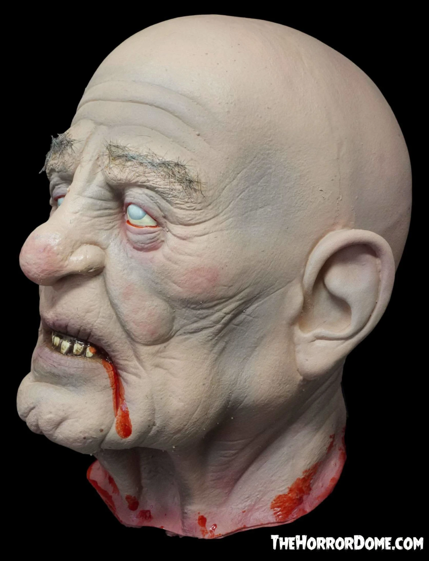 "Severed Sal" Severed Head HD Studios Ultra Realistic Halloween Prop 4 "Severed Sal" Severed Head HD Studios Ultra Realistic Halloween Prop - Image 2