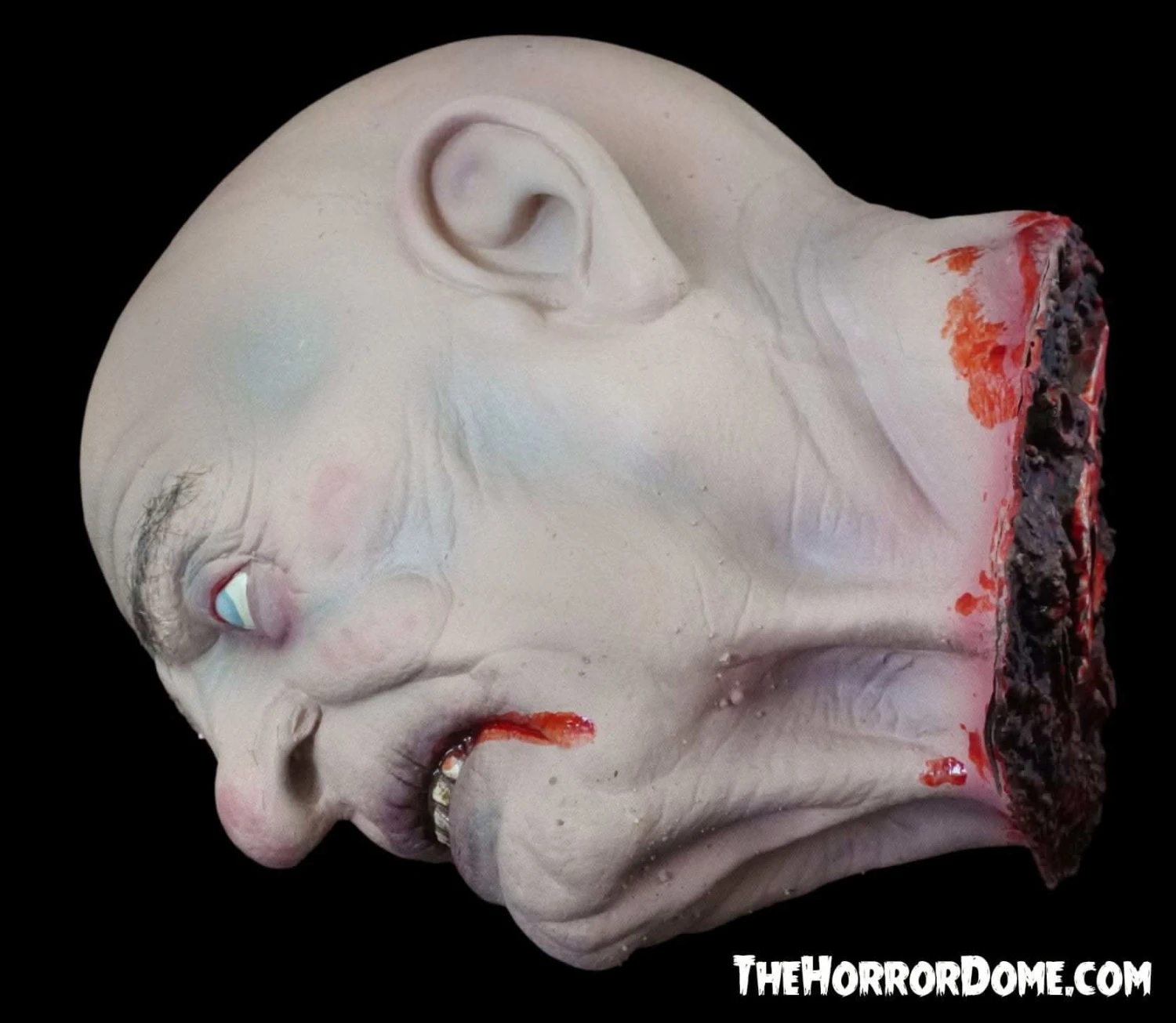 "Severed Sal" Severed Head HD Studios Ultra Realistic Halloween Prop 5 "Severed Sal" Severed Head HD Studios Ultra Realistic Halloween Prop - Image 3