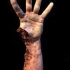 "Shark Bite Silicone Arm" Bloody Body Part Prop -Halloween Props Promotion shark bite silicone arm bloody body part prop 11944225013808