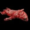 "Skinned Zombie Dog" Bloody Animal Prop -Halloween Props Promotion skinned zombie dog bloody animal prop 14260546568240