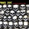 "Skull Wall Panel" Haunted House Facade 2 "Skull Wall Panel" Haunted House Facade -Halloween Props Promotion skull wall panel haunted house facade 8179913217