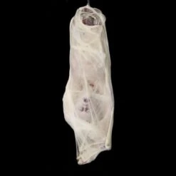 "Spider Bites" Static Halloween Prop