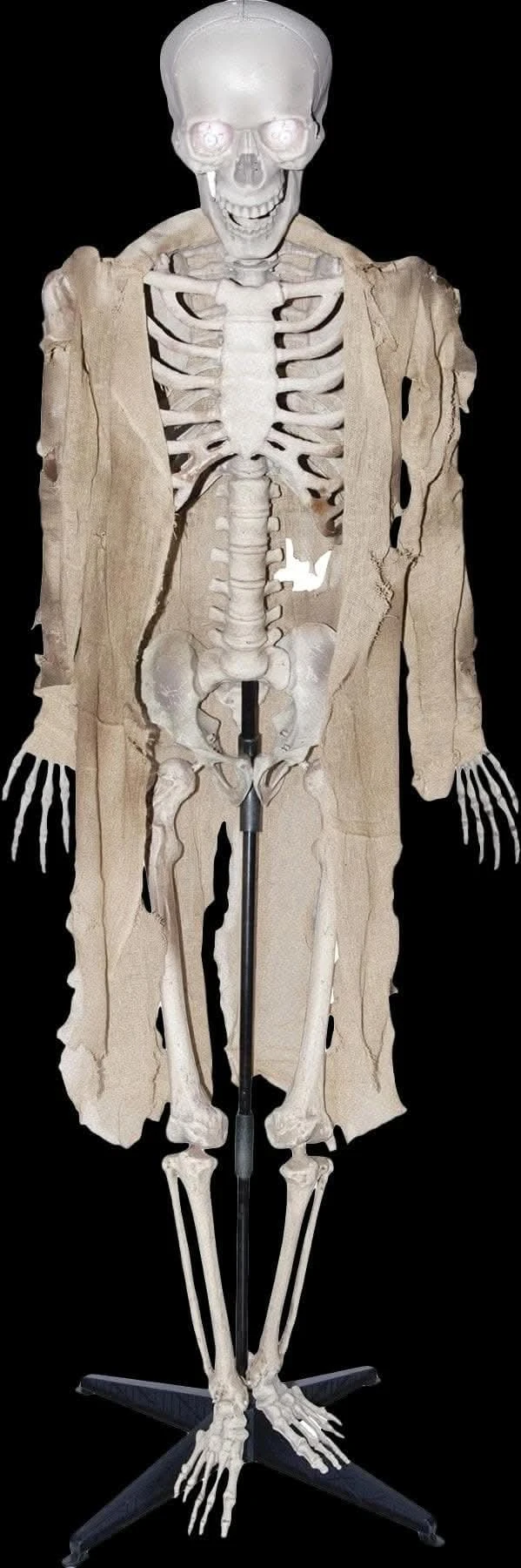 "Talking Skeleton" Halloween Prop - Open Box 3 "Talking Skeleton" Halloween Prop - Open Box